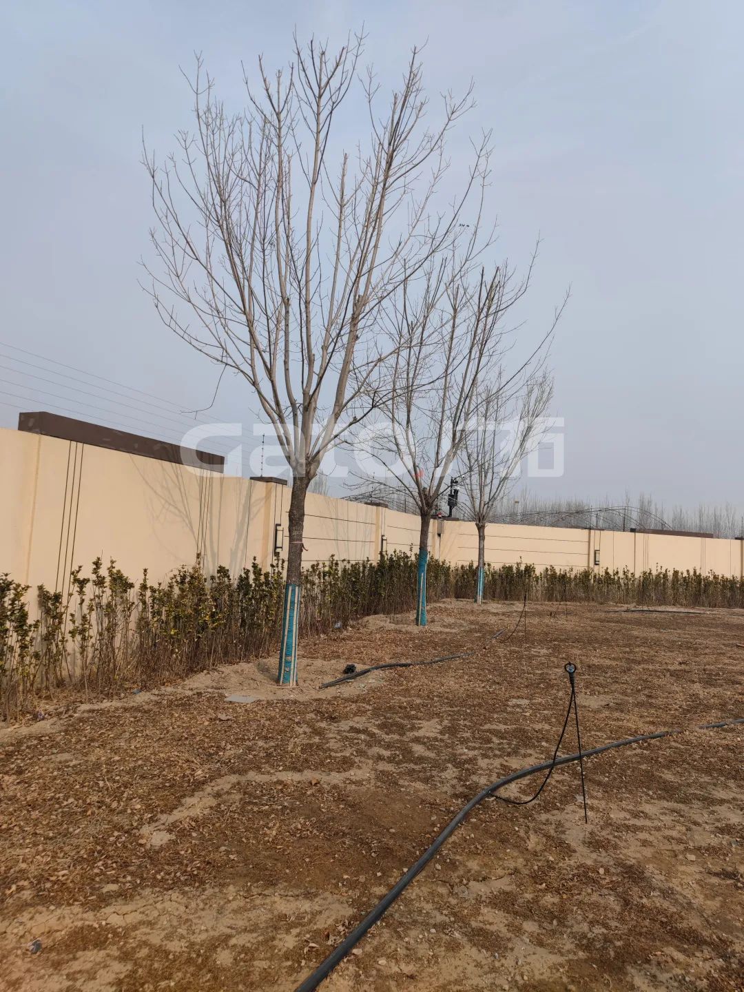 國(guó)家建筑節(jié)能技術(shù)國(guó)際創(chuàng)新園投產(chǎn)，廣拓G5s守護(hù)周界安全(圖8)