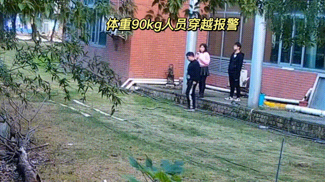 用數(shù)據(jù)說話，風(fēng)雨小動物不誤報(bào)！(圖4)