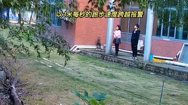 用數(shù)據(jù)說話，風(fēng)雨小動物不誤報(bào)！(圖8)