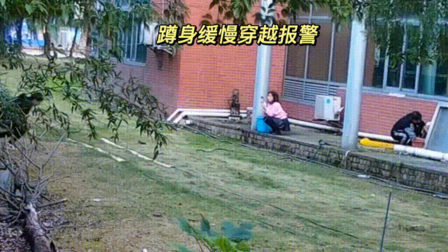 用數(shù)據(jù)說話，風(fēng)雨小動物不誤報(bào)！(圖9)