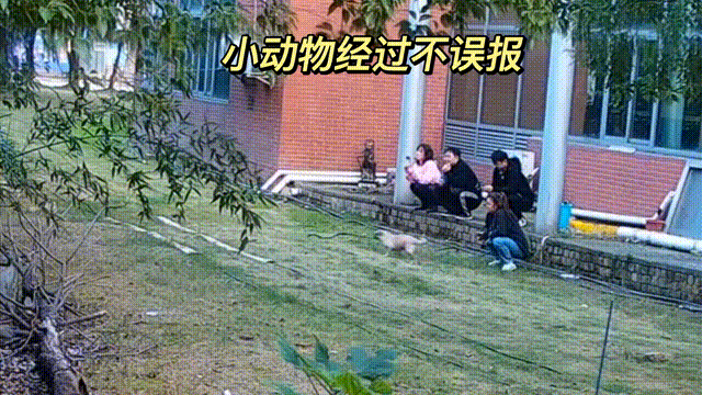 用數(shù)據(jù)說話，風(fēng)雨小動物不誤報(bào)！(圖13)